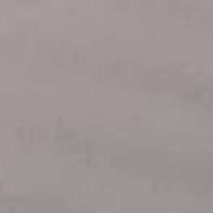 Meet your Posher, Abigail